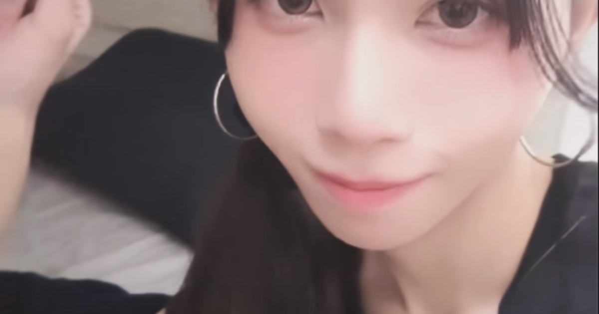 新人です！